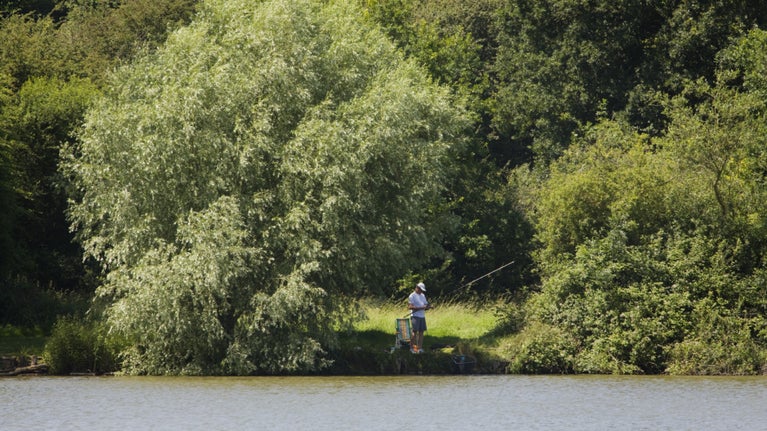 A peaceful scene of a person fishing by a lake in a forested area. The angler, wearing a hat and casual clothes, stands on a grassy bank, holding a fishing rod with a colorful chair and some gear nearby. Large trees with dense green foliage surround the person, casting shade, while the calm lake stretches across the foreground, reflecting the serene, natural environment. The overall atmosphere is quiet and relaxing, highlighting a simple moment in nature.